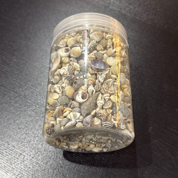Assorted Mini Sea Shells - Picture 2 of 3